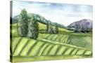 Stretched Canvas