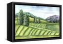 Canvas Black