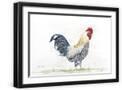 Black Frame