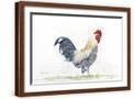 Brown Frame