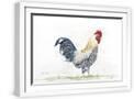White Frame