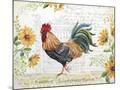 Wood Mount