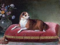 The Bitch on a Cushion, C1694-1735-Jean Ranc-Giclee Print