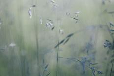 Clouds hang between the mountains of the Dolomites-Jean Schwarz-Stretched Canvas