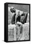 Jeanette Campbell, Argentine Swimmer, Berlin Olympics, 1936-null-Framed Stretched Canvas