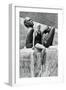 Jeanette Campbell, Argentine Swimmer, Berlin Olympics, 1936-null-Framed Giclee Print