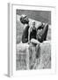 Jeanette Campbell, Argentine Swimmer, Berlin Olympics, 1936-null-Framed Giclee Print