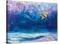 Stretched Canvas