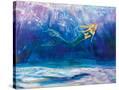 Stretched Canvas