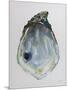 Wood Mount