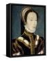 Jeanne D'Halluin Lady-In-Waiting of the Queen Catherine De Medici Ca. 1550-Corneille de Lyon-Framed Stretched Canvas