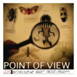 Literary Devices: Point of View-Jeanne Stevenson-Art Print