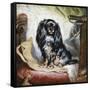 Jeannie, Queen Victoria's Favourite Spaniel-Gourlay Steel-Framed Stretched Canvas