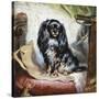 Jeannie, Queen Victoria's Favourite Spaniel-Gourlay Steel-Stretched Canvas