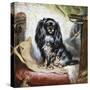 Jeannie, Queen Victoria's Favourite Spaniel-Gourlay Steel-Stretched Canvas