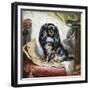 Jeannie, Queen Victoria's Favourite Spaniel-Gourlay Steel-Framed Giclee Print