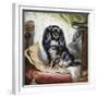 Jeannie, Queen Victoria's Favourite Spaniel-Gourlay Steel-Framed Giclee Print