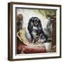 Jeannie, Queen Victoria's Favourite Spaniel-Gourlay Steel-Framed Giclee Print