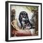 Jeannie, Queen Victoria's Favourite Spaniel-Gourlay Steel-Framed Giclee Print