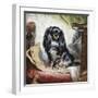 Jeannie, Queen Victoria's Favourite Spaniel-Gourlay Steel-Framed Giclee Print