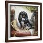 Jeannie, Queen Victoria's Favourite Spaniel-Gourlay Steel-Framed Giclee Print