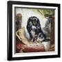 Jeannie, Queen Victoria's Favourite Spaniel-Gourlay Steel-Framed Giclee Print