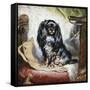 Jeannie, Queen Victoria's Favourite Spaniel-Gourlay Steel-Framed Stretched Canvas