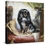 Jeannie, Queen Victoria's Favourite Spaniel-Gourlay Steel-Stretched Canvas