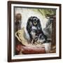 Jeannie, Queen Victoria's Favourite Spaniel-Gourlay Steel-Framed Giclee Print