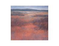 Road to the Mountains-Jeannie Sellmer-Art Print