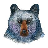 Black Bear-Jeannine Saylor-Art Print
