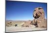 Jeep Driving Through Rocky Landscape on the Altiplano, Potosi Department, Bolivia, South America-Ian Trower-Mounted Photographic Print