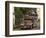 Jeepney Truck with Passengers Crowded on Roof, Coron Town, Busuanga Island, Philippines-Kober Christian-Framed Photographic Print