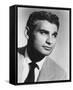 Jeff Chandler-null-Framed Stretched Canvas