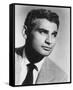 Jeff Chandler-null-Framed Stretched Canvas