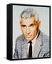 Jeff Chandler-null-Framed Stretched Canvas