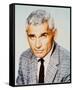 Jeff Chandler-null-Framed Stretched Canvas