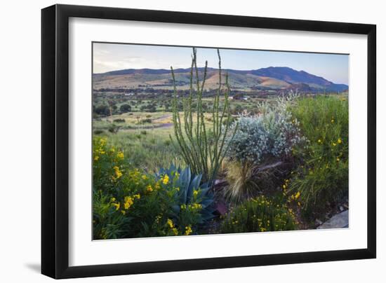 Jeff Davis County, Texas. Davis Mountains and Desert Vegetation-Larry Ditto-Framed Photographic Print