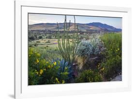 Jeff Davis County, Texas. Davis Mountains and Desert Vegetation-Larry Ditto-Framed Photographic Print