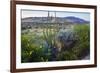 Jeff Davis County, Texas. Davis Mountains and Desert Vegetation-Larry Ditto-Framed Photographic Print