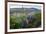 Jeff Davis County, Texas. Davis Mountains and Desert Vegetation-Larry Ditto-Framed Photographic Print