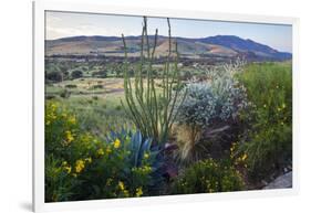 Jeff Davis County, Texas. Davis Mountains and Desert Vegetation-Larry Ditto-Framed Photographic Print