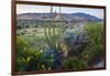 Jeff Davis County, Texas. Davis Mountains and Desert Vegetation-Larry Ditto-Framed Photographic Print