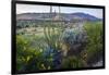 Jeff Davis County, Texas. Davis Mountains and Desert Vegetation-Larry Ditto-Framed Photographic Print