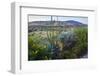 Jeff Davis County, Texas. Davis Mountains and Desert Vegetation-Larry Ditto-Framed Photographic Print