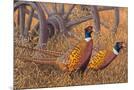 Wood Mount