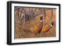 Black Frame