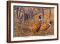 Brown Frame