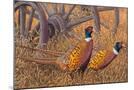 Wood Mount
