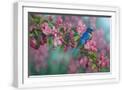 White Frame